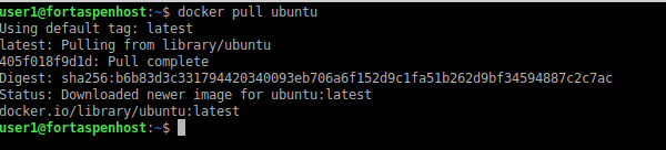 command line output when a ubuntu image is pulled from Docker Hub