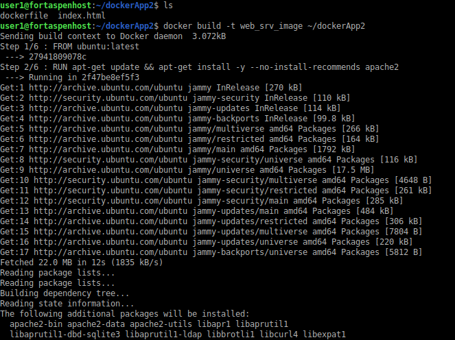 Command line output showing build of web server image (page 1)