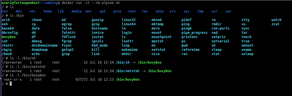 command line output of executing a shell within a running Alpine container.