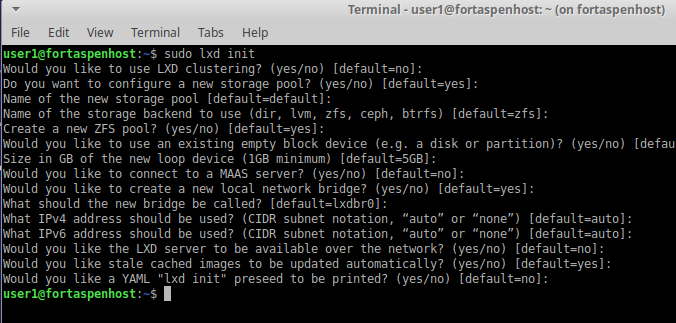 Command line output showing initialisation of lxd