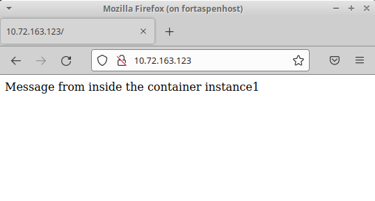 Browser output on host showing HTTP call to server inside container 