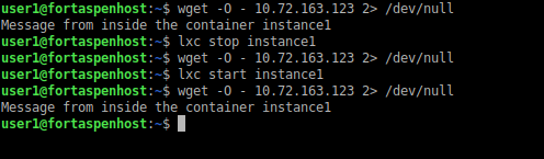 command line output showing the web server being available only when the container is running.