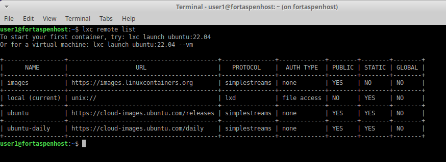 command line output listing the available LXC respoitories