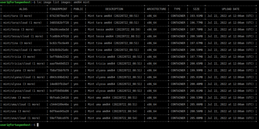 command line output showing the available resources in the "images" repository for Mint Linux on amd64