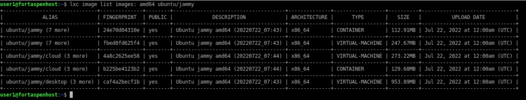 command line output showing the available resources in the "images" repository for Ubuntu (version Jammy) on amd64