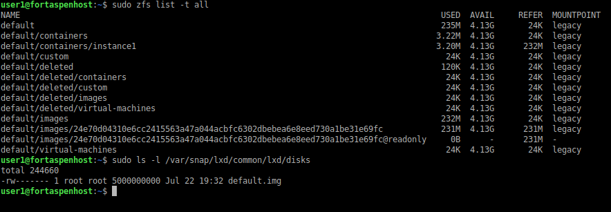 command line output showing the contents of the zfs file system that holds container and images.