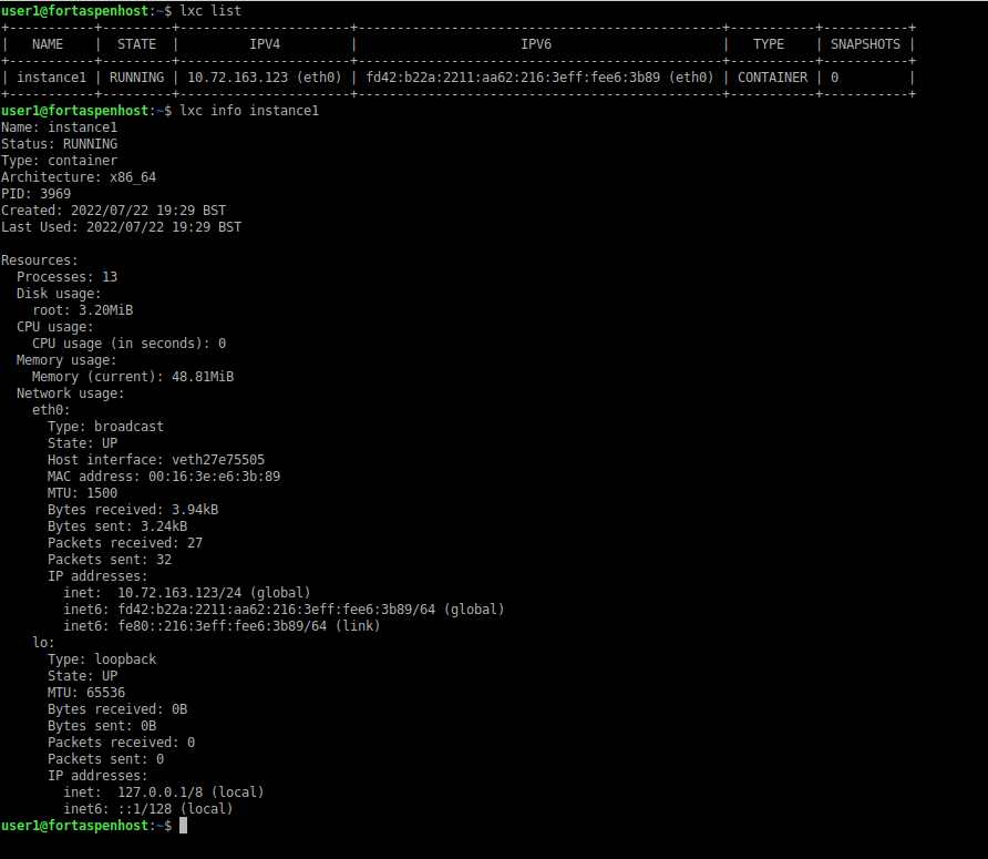 command line output listing local lxc instances including "info" detail