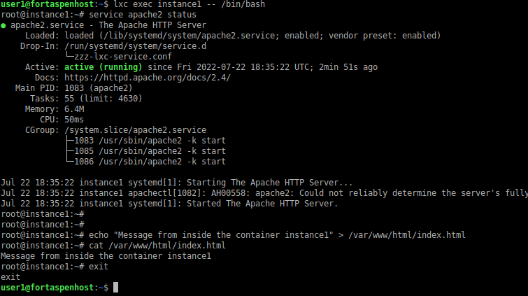 Command line output showing executing a shell within a running container instance.