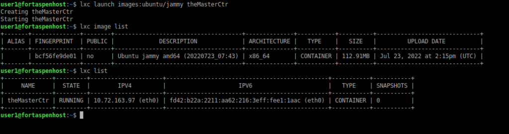 Command line output showing the launch of a Ubuntu container.