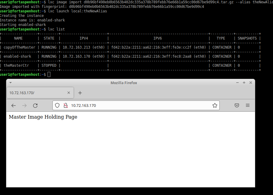 command line output showing the import of the large container file under a new alias and a screenshot showing the file is available from the newly created container.