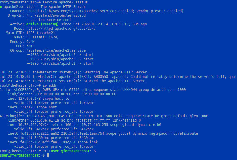 command line output showing the service status (Apache2) within the LXD container