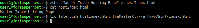 command line output showing pushing a file from a host to the container.