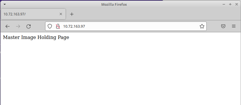 screenshot of browser on the host showing the newly pushed file from the container. 