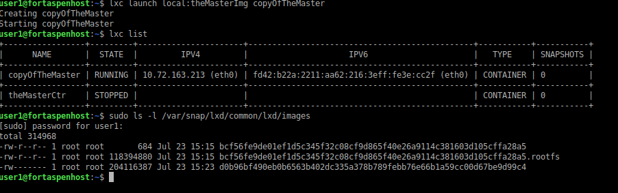 command line output of the creation of a new container from the new image