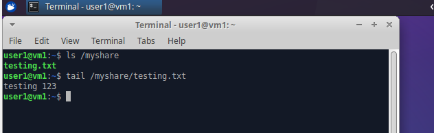 Command line output showing ability to use the share (on the host) from inside the VM