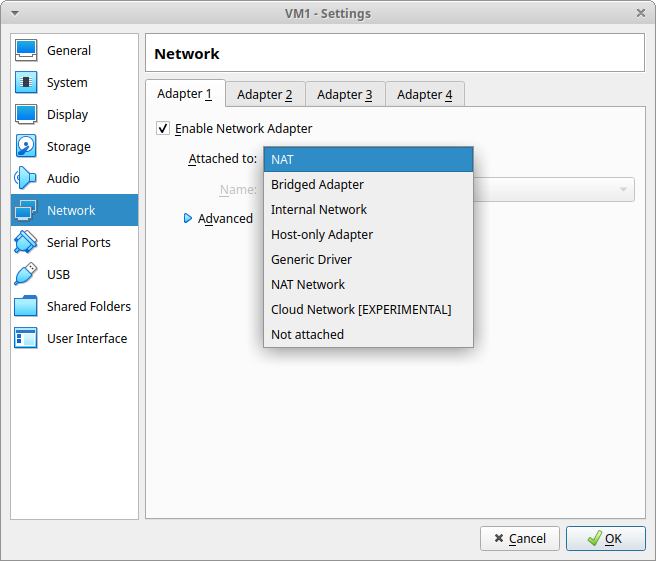 Screenshot of a VirtualBox Manager pop-up for a VM looking at network settings and listing the types of network available