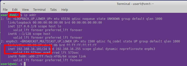 Command line output showing IP address details of VM1