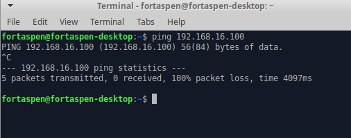 Command line output of ping from host to VM1. This fails. 