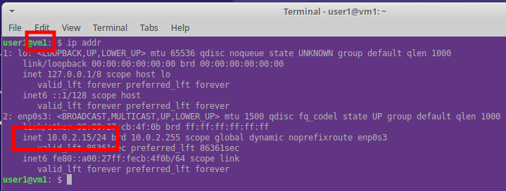 Command line output showing IP address details of VM1