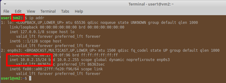 Command line output showing IP address details of VM2