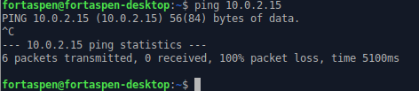 Command line output showing ping to VM's IP address is not successful 