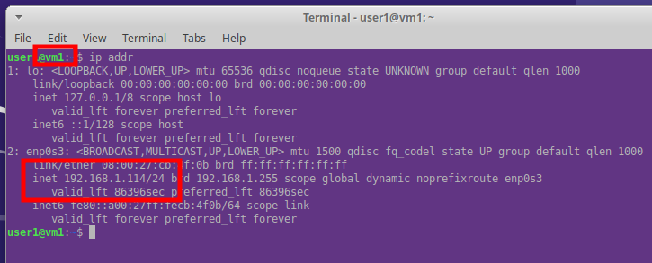 Command line output showing IP address details of VM1