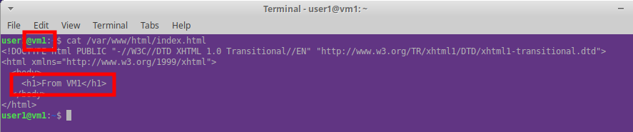 Command line output showing web content being server by VM1