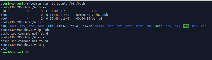 command line output of calling the shell within a container