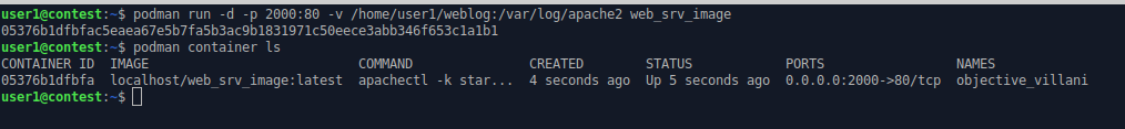 command line output showing a container created from the new web server image