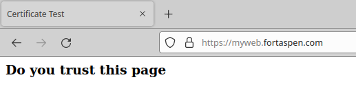 Browser output with "padlock" on address bar - and no security warning.