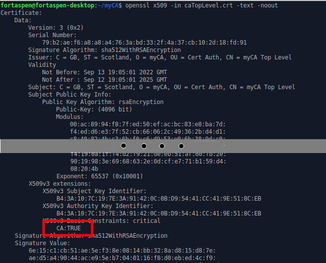 Output of command showing "Certificate authority: True".