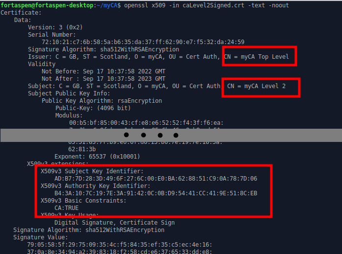 Output of command showing certificate issuer and subject name along with X509v3 extension data.