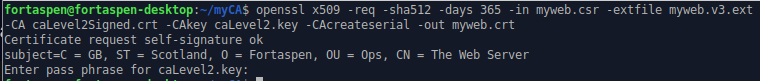 Output of using openssl to sign a digital certificate