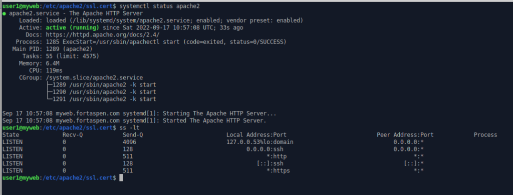 Command line output showing Apace2 web server and HTTPS TCP port active.