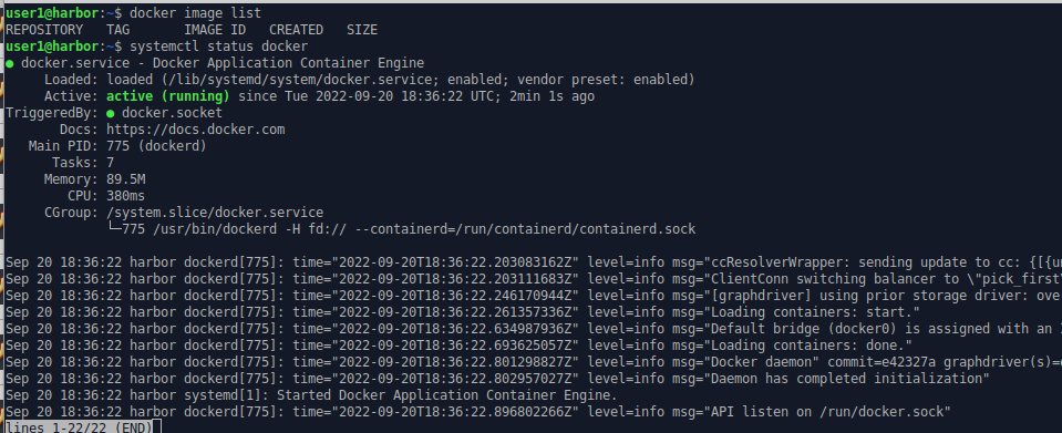 command line output showing an active but unused Docker installation