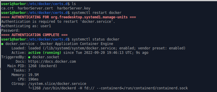 command line output showing a restart of Docker where digital certificates are read in.