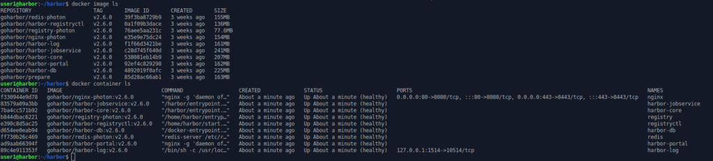 command line  output showing list of active docker containers 