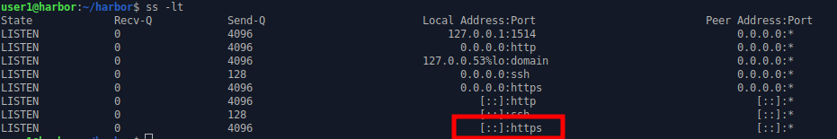 command line output showing active https server.