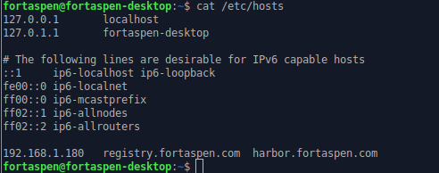 command line output showing active hostname mapping for registry.fortaspen.com