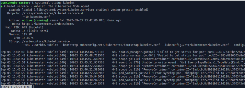 Command line output of Kubelet service status on master node