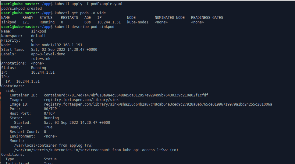 command line output showing creation of Kubernetes pods to perform the sink role