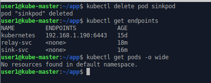 command line output showing no active application pods.