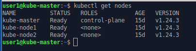 Command line output listing active nodes