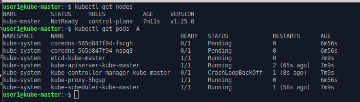 command line output showing nodes and pods active